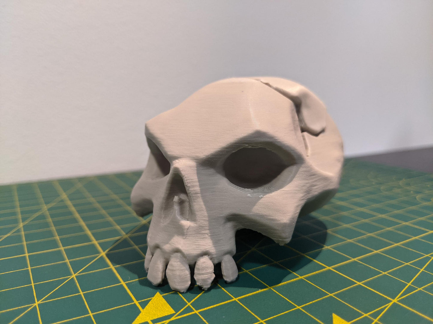 Sea of Thieves Broken Head Skull Figurines