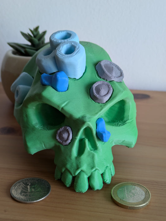 Sea of thieves disgraced coral bounty skull